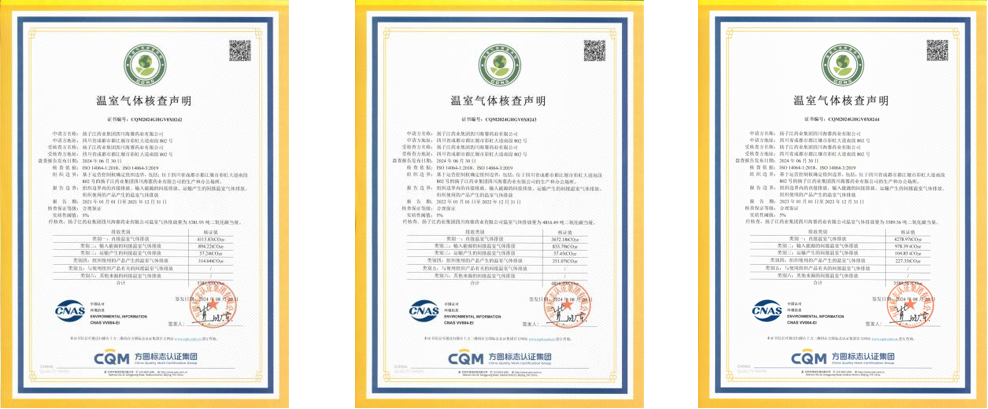 球盟会(中国)医药集团四川海蓉医药有限公司2021年-2024年碳排放核查数据公示
